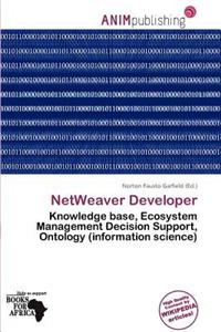 Netweaver Developer