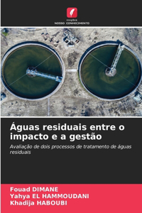 Águas residuais entre o impacto e a gestão