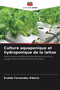 Culture aquaponique et hydroponique de la laitue