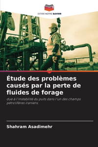Étude des problèmes causés par la perte de fluides de forage