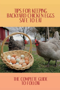 Tips For Keeping Backyard Chicken Eggs Safe To Eat