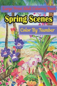 Spring Scenes Color By Number Large Print Adult Coloring Book