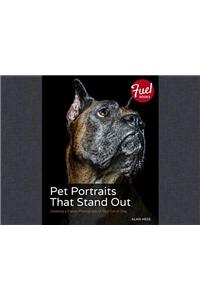 Pet Portraits That Stand Out