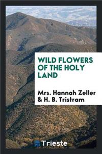 Wild Flowers of the Holy Land