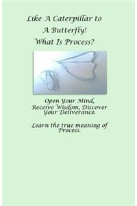 Like A Caterpillar To A Butterfly... What Is Process?