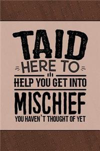Taid Here to help you get into Mischief you haven't thought of Yet