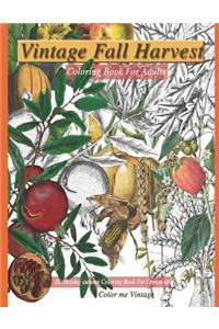 Vintage Fall harvest coloring book for adults