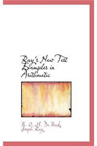 Ray's New Test Examples in Arithmetic