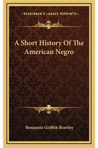 A Short History Of The American Negro