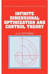 Infinite Dimensional Optimization and Control Theory