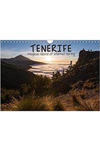 Tenerife Magical Island of Eternal Spring 2018