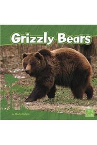 Grizzly Bears