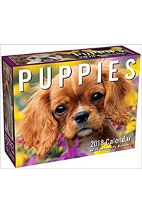 Puppies 2018 Mini Day-to-Day Calendar