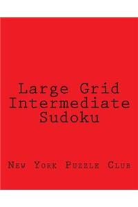 Large Grid Intermediate Sudoku