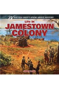 Life in Jamestown Colony