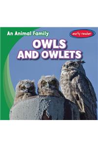 Owls and Owlets