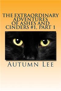 The Extraordinary Adventures of Ashes and Cinders #1, Part 1
