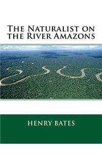 The Naturalist on the River Amazons