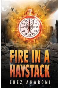 Fire in a Haystack