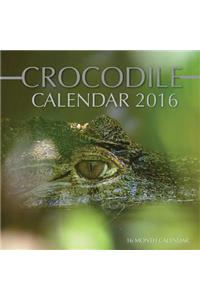 Crocodile Calendar 2016