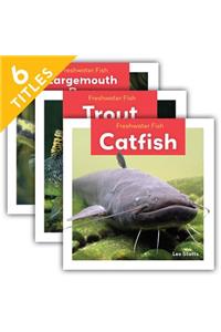 Freshwater Fish (Set)