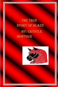 The true Story of Blaze