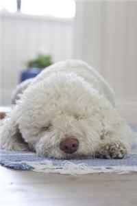 Sweet Fluffy White Puppy Dog Snoozing Pet Journal