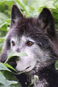 Wolf Watching from the Woods Journal