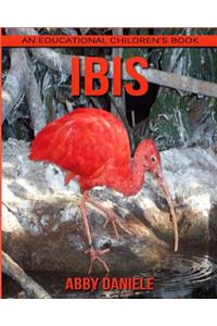 Ibis! An Educational Children's Book about Ibis with Fun Facts & Photos