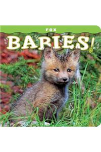 Fox Babies!