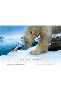 To the Arctic