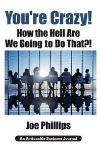 You're Crazy! How the Hell Are We Going to Do That?!