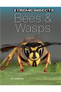 Bees & Wasps