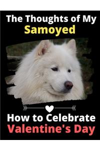The Thoughts of My Samoyed