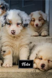 Australian Shepherd Dog Pup Puppy Doggie Notebook Bullet Journal Diary Composition Book Notepad - Many Little Babies