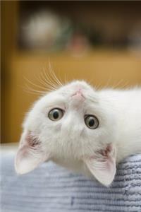 Playful White Kitten Journal