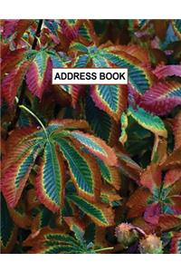 Low Vision Large Print Address and Password Record Book