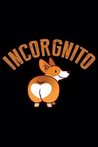Incorgnito