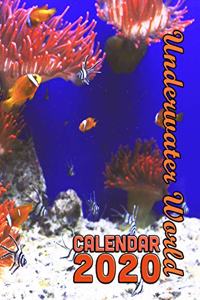 Underwater World Calendar 2020