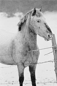 2020 Weekly Planner Horse Photo Equine Pony Snowstorm 134 Pages
