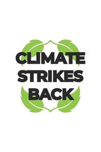 Climate Strikes Back