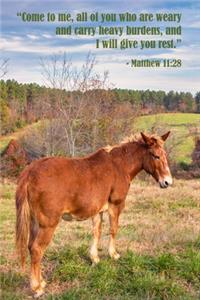 Matthew 11