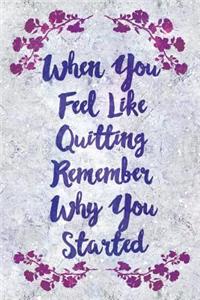 When You Feel Like Quitting Remember Why You Started