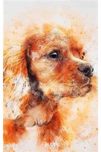 puppy