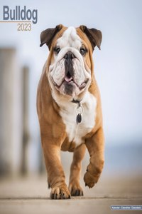 Bulldog 2023 Wall Calendar