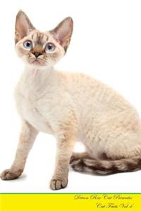 Devon Rex Cat Presents