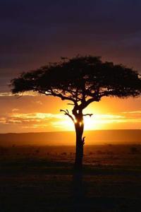 Kenya Africa Sunset Journal