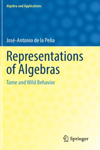 Representations of Algebras