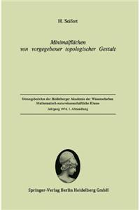 Minimalflachen Von Vorgegebener Topologischer Gestalt