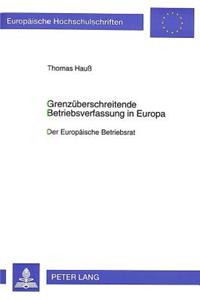 Grenzueberschreitende Betriebsverfassung in Europa